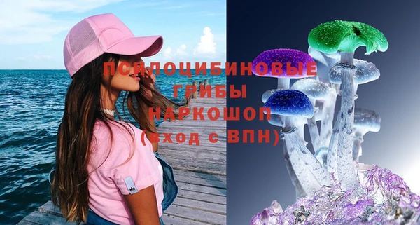 герыч Новозыбков
