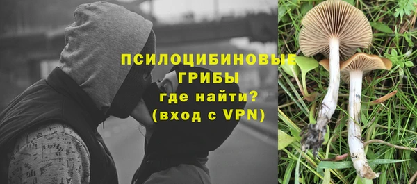 соль ск Нязепетровск