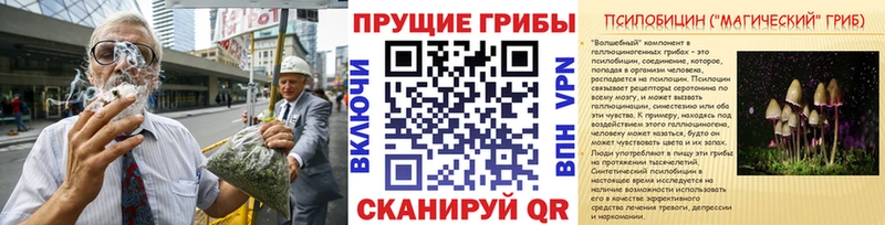ОМГ ОМГ ссылка  Красный Сулин  Галлюциногенные грибы Magic Shrooms 