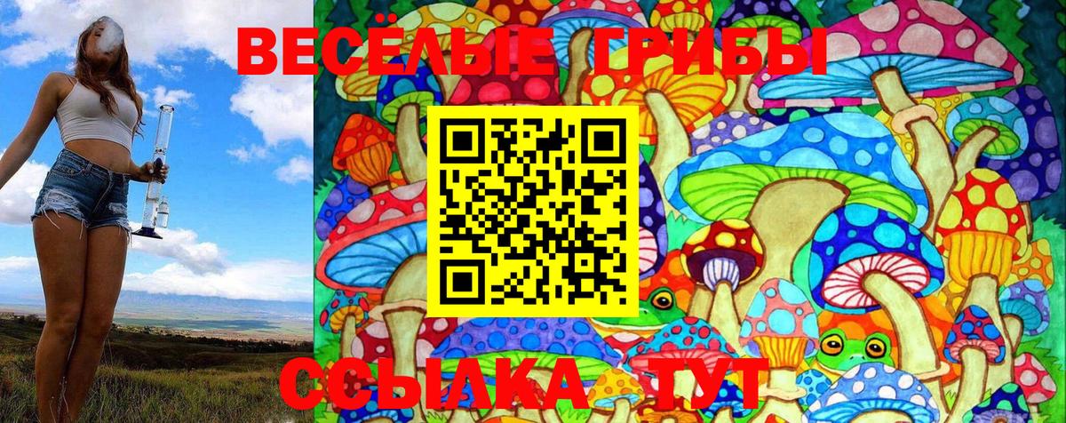 Галлюциногенные грибы Cubensis  Вход с VPN  Красный Сулин 